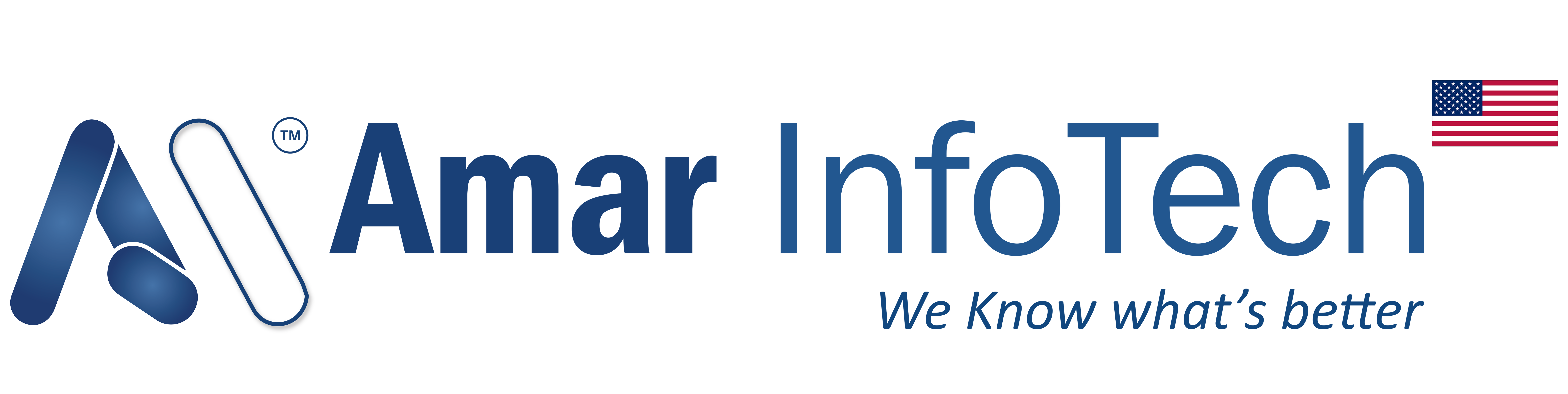 Amar Infotech